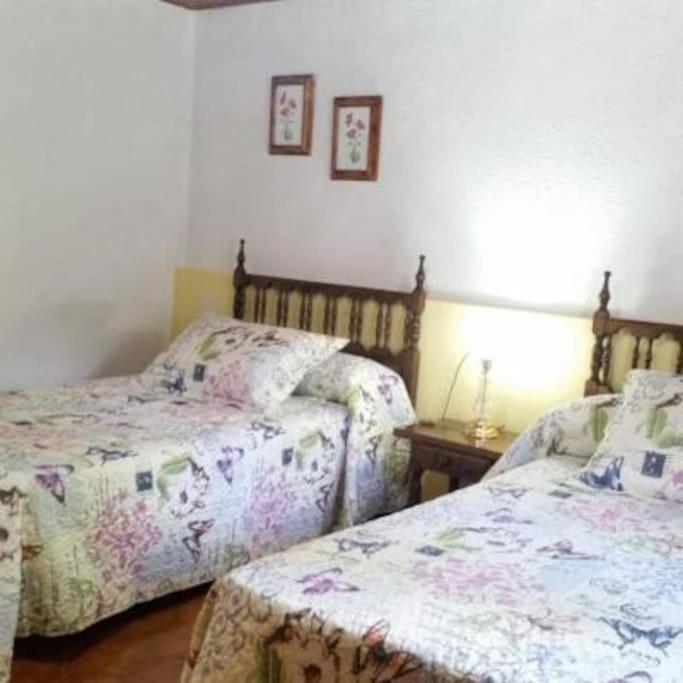Casa Rural Barangua En El Pirineo Aragones Santa Cruz de la Serós Exterior photo
